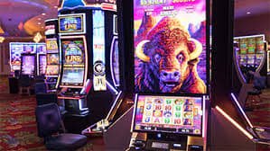 Màn hình Bingo trực tuyến trên opne88 dành cho người Việt